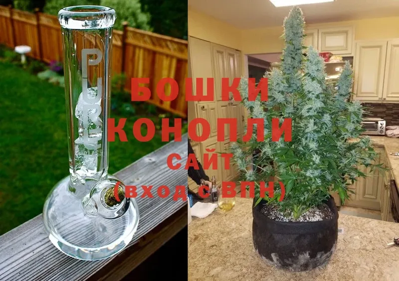 Конопля SATIVA & INDICA  Нижняя Тура 